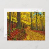 Rarement utilisé route, carte postale (Devant / Derrière)