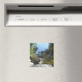 Ras in het water magneet (Insitu (Vaatwasser))