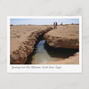 Ras Mohamed Natuur Preserve Park, Sinai, Egypte Briefkaart