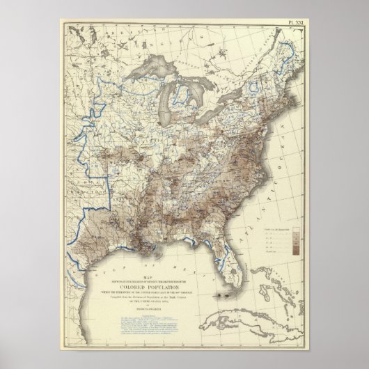 Ras Population Density 1870 Poster (Voorkant)