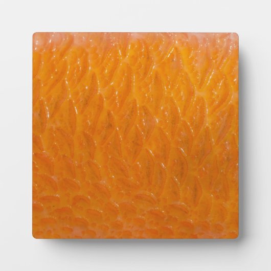 Rasbaars Fotoplaat (Voorkant)