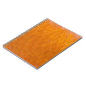 Rasbaars Notitieboek (Linkerzijde)