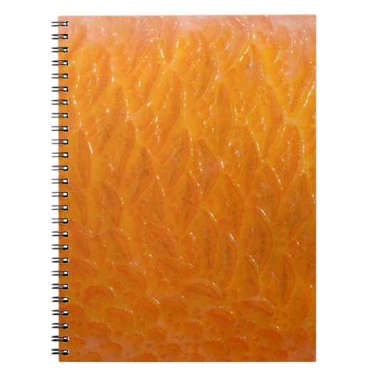 Rasbaars Notitieboek (Voorkant)