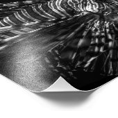 Rascasse volante – Tirage photo (Coin)