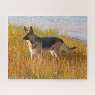 rasechte Duitse herder Legpuzzel
