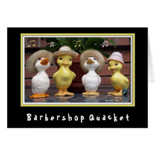 Raseur-coiffeur Quacket