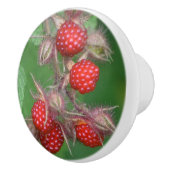 Raspberry Ceramic Knob. Keramische Knop (Rechts)