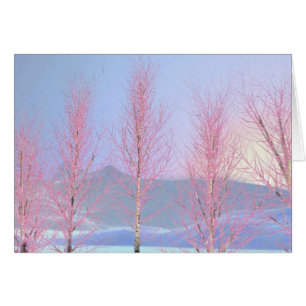 Raspberry Creme Birch