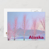 Raspberry Creme Birch Briefkaart (Voorkant / Achterkant)