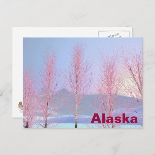 Raspberry Creme Birch Briefkaart (Voorkant / Achterkant)