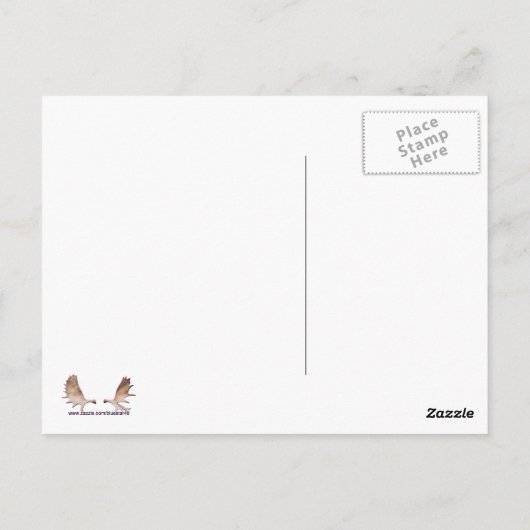 Raspberry Creme Birch Briefkaart (Achterkant)