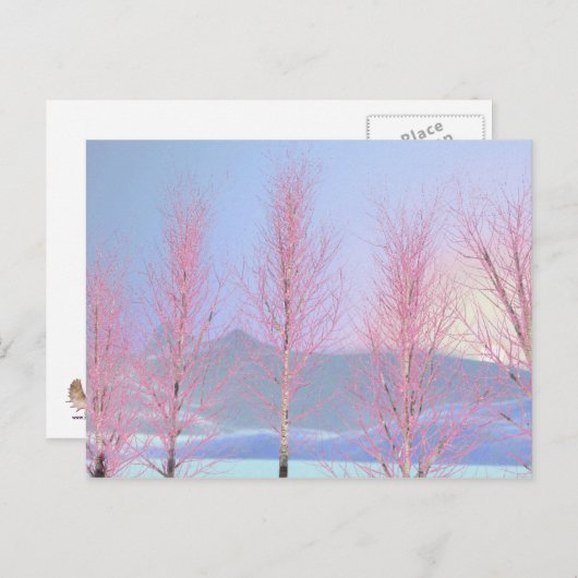 Raspberry Creme Birch Briefkaart (Voorkant / Achterkant)