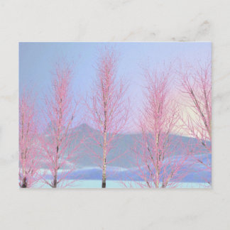 Raspberry Creme Birch Briefkaart