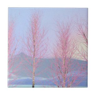 Raspberry Creme Birch Tegeltje