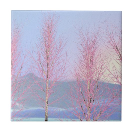 Raspberry Creme Birch Tegeltje (Voorkant)