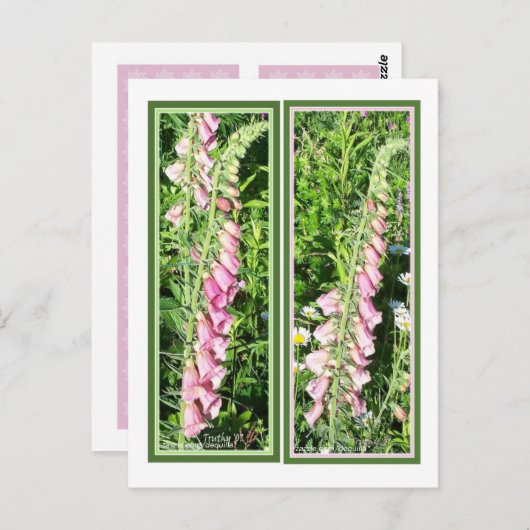 RASPBERRY FOXGLOVE BLADWIJZER BRIEFKAART (Voorkant / Achterkant)
