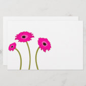 Raspberry Gerber Daisy (Voorkant / Achterkant)