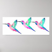 Raspberry Mint Sorbet Hummingbird Poster (Voorkant)