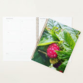 Raspberry Planner (Display)