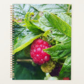Raspberry Planner (Voorkant)