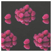 Raspberry still Life Stof (Close Up)