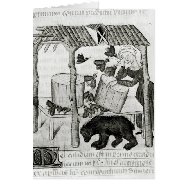 Rassemblement du miel (Devant)