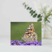 Rassembler une carte postale Nectar (Debout devant)
