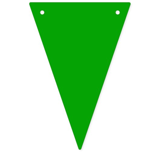 Rasta Bunting Decorate Reggae Party Festival Vlaggetjes (Tweede vlag)