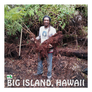 RASTA FARMER MET HAPUU FERN PERFECT POSTER