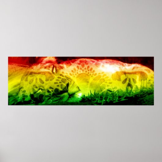 Rasta Lion Poster (Voorkant)