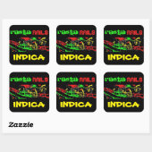 RASTA RAILS INDICA VIERKANTE STICKER (Vel)