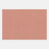 Raster-omlooppapier in Blush Inpakpapier Vel (Voorkant)