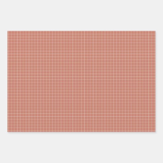 Raster-omlooppapier in Blush Inpakpapier Vel (Voorkant)