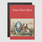  rasterkonijnen en autoeieren (Voorkant / Achterkant)