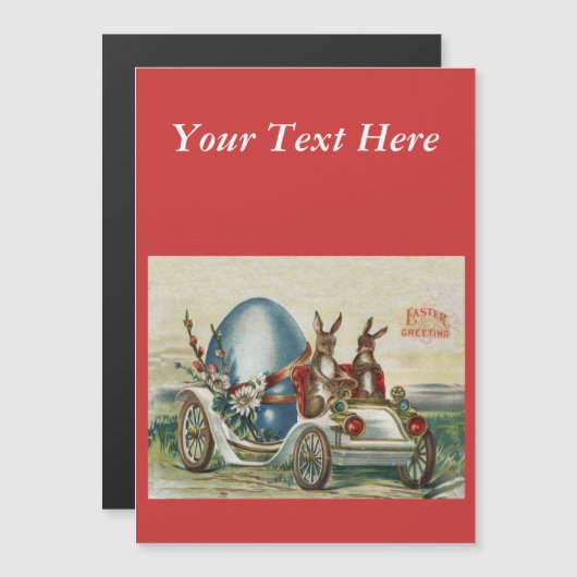  rasterkonijnen en autoeieren (Voorkant / Achterkant)