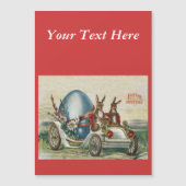  rasterkonijnen en autoeieren (Voorkant)