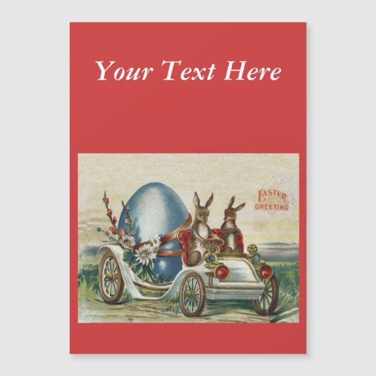  rasterkonijnen en autoeieren (Voorkant)