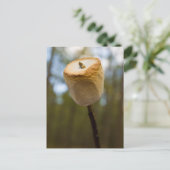 Rasting Marshmallows Briefkaart (Staand voorkant)