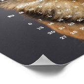 Raszuivere Duitse Herder Hond Foto 2024 Kalender Poster (Hoek)