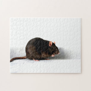 Rat 11x14 252pc jpcn legpuzzel