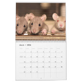 Rat 2025 kalender (Mar 2026)