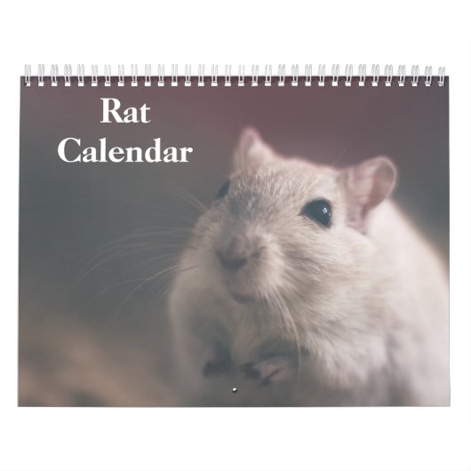 Rat 2025 kalender (Hoes)