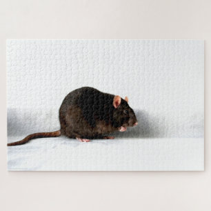 Rat 20x30 1014pc jpa legpuzzel
