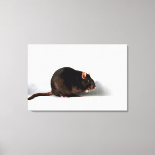 Rat 36x24 (90x60cm) waccna canvas afdruk