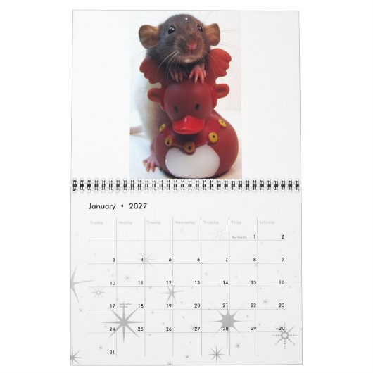 Rat Afbeelding 2012 Kalender (Jan 2027)
