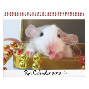 Rat Afbeelding 2012 Kalender