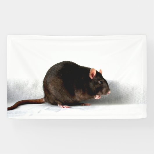 Rat bnrcnm spandoek (Horizontaal)