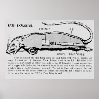 Rat Bomb, beschrijvende catalogus van speciale app Poster