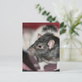 Rat Briefkaart (Staand voorkant)