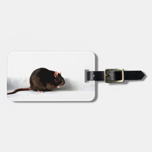 Rat cd ltcna bagagelabel (Voorkant horizontaal)